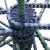 Cyber-Insurance Triggers Higher Ransom Demands